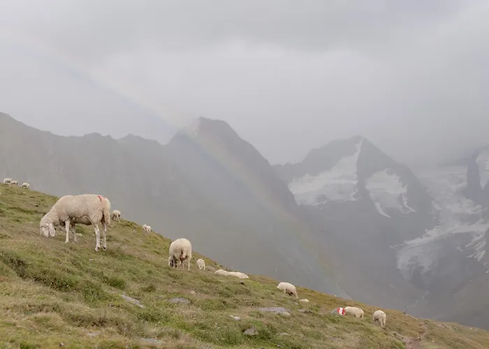 Olympia Hotel Obergurgl