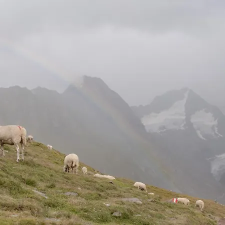 Olympia Ξενοδοχείο Obergurgl