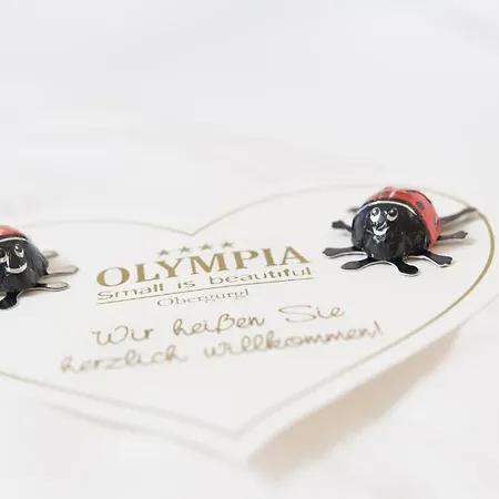 Hotel Olympia 4*